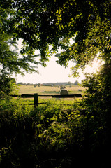 hay bales