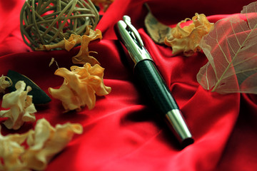deluxe fountain-pen with red satin