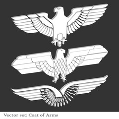 White eagle coat of arms heraldic vector