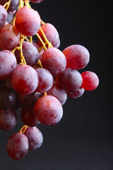grape grapes