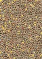 lentils
