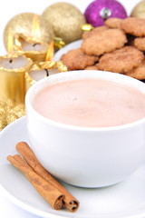 Cup of hot cocoa with cinnamon and cinnamon cookies