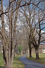 Obraz premium Herbstende