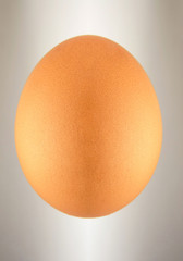 Abstract egg. Collage . Gray background
