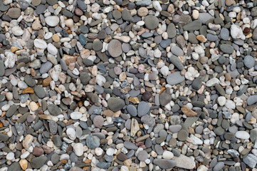 Beach Pebbles