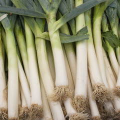 Leek