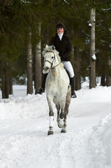 woman at the horse