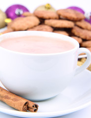 Cup of hot cocoa with cinnamon and cinnamon cookies