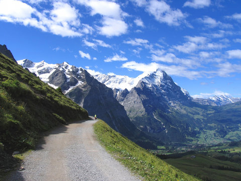 Swiss beauty, towards Schreckhorn above Grindenwald