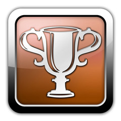 Bronze Glossy Square Icon 