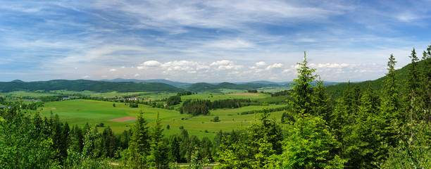 Summer panorama