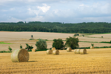 Fototapeta premium Landscape witch stacks