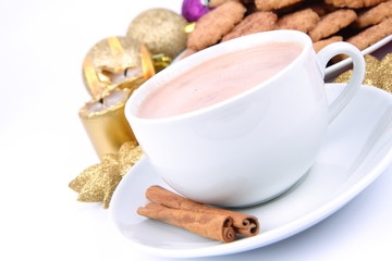 Cup of hot cocoa with cinnamon and cinnamon cookies