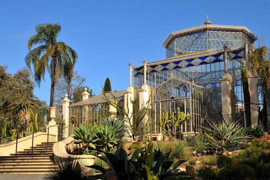 Palm house in a botanic garden