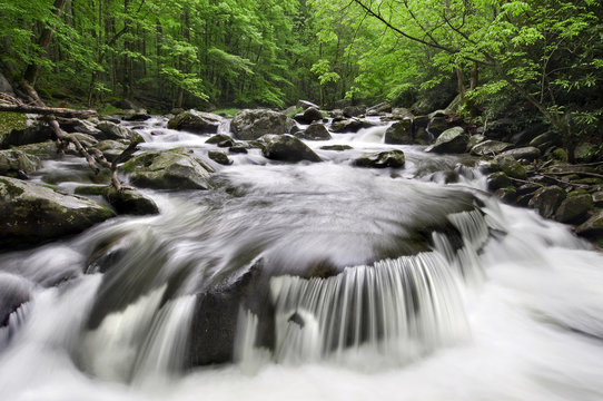Fototapeta Blue Ridge Parkway