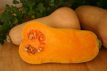 Butternut Squash