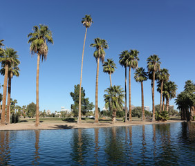 Cool Oasis in Hot City of Phoenix Downtown, AZ