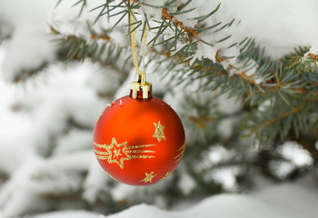 christmas decoration on fir branch