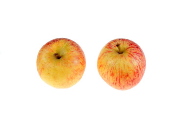 red apple on white background
