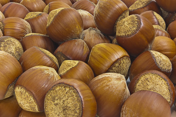 Hazelnuts. Background.
