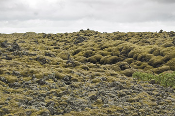 Colada volcánica en Laki (Islandia)