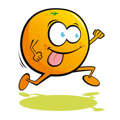 Orange illustration serie - fruits vecteur