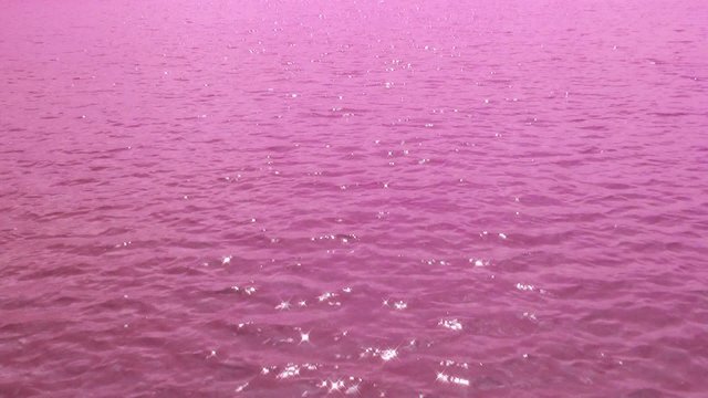 Wasser Wellen pink - Video - Water Surface pink