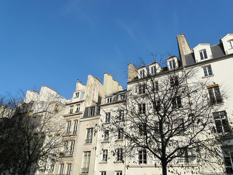 Rue de Paris avec ciel bleu.