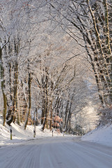 Obraz premium Verschneite Allee