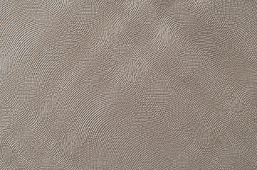 Fototapeta premium Linoleum