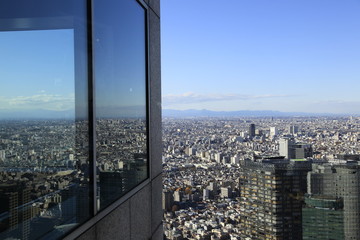 Fototapeta na wymiar Tokyo daleki widok
