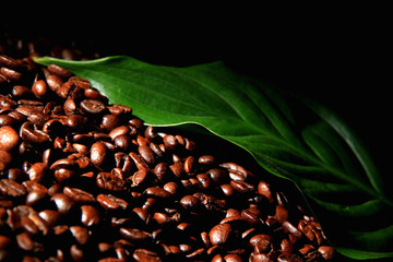 coffee beans and green leaf close-up