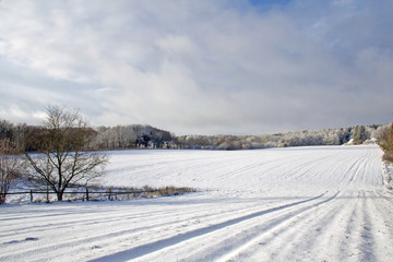 Fototapeta premium Winterlandschaft in Norddeutschland (Acker, Wald)
