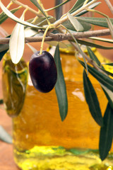 une olive