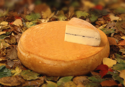 Fromage Morbier