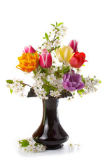 Bouquet of cherry blossoms and tulips
