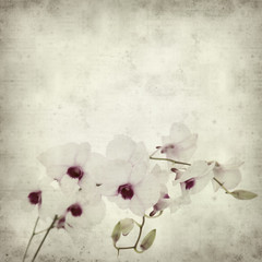 textured old paper background with dendrobium orchid