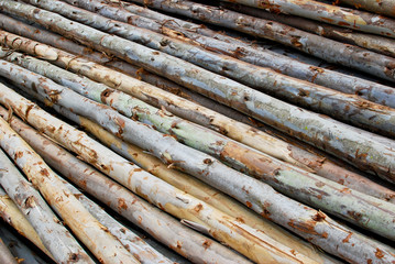 pile of wood in logs storage