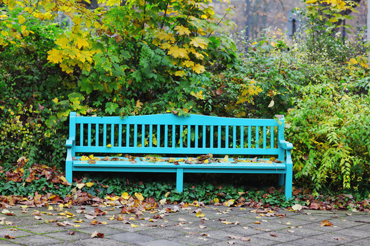 Historic garden bench in autumn