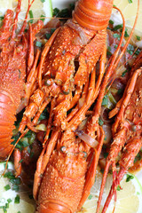 plat de langoustes
