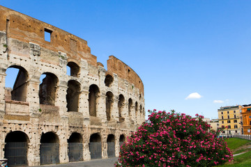 Fototapeta premium Italy. Rome. The ancient Collosseo