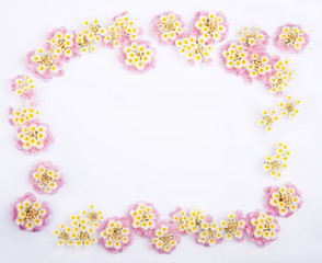 Fototapeta na wymiar Framework of Pink Caprise Lantana flowers