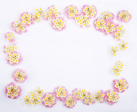 Framework of Pink Caprise Lantana flowers