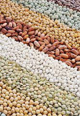 Mixture of dried lentils, peas, soybeans, beans  - background