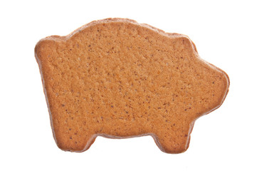 Ginger bread pig