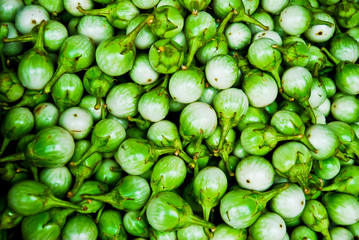 Pile of green eggplant in fresh market