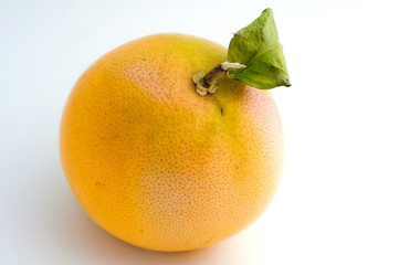 Isolated grapefruit on white background