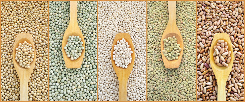 Collage of dried lentils, peas, soybeans, beans with spoon