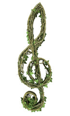 Ivy nature music symbol