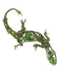 Fototapeta premium Ivy nature lizard